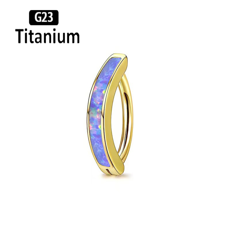 1PC 14G Implant Grade G23 Tita - Body Jewelry Implant Grade Titanium 评论和价格