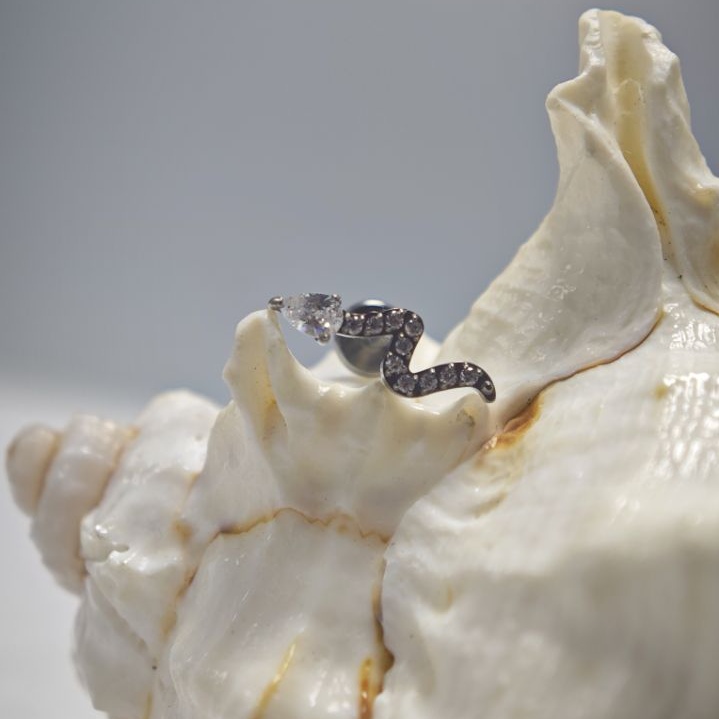 16G Titanium Implant Grade Hig - Body Jewelry Implant Grade Titanium 评论和价格