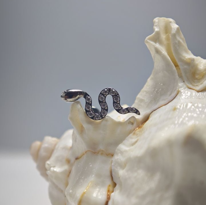 16G Titanium Implant Grade Hig - Body Jewelry Implant Grade Titanium 评论和价格