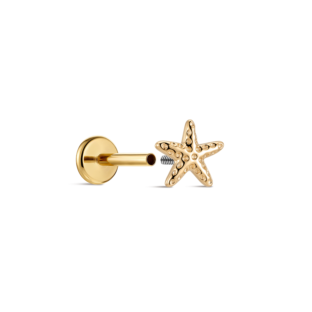 CANNER 14K Solid Gold Starfish - Tragus Flat Back 评论和价格