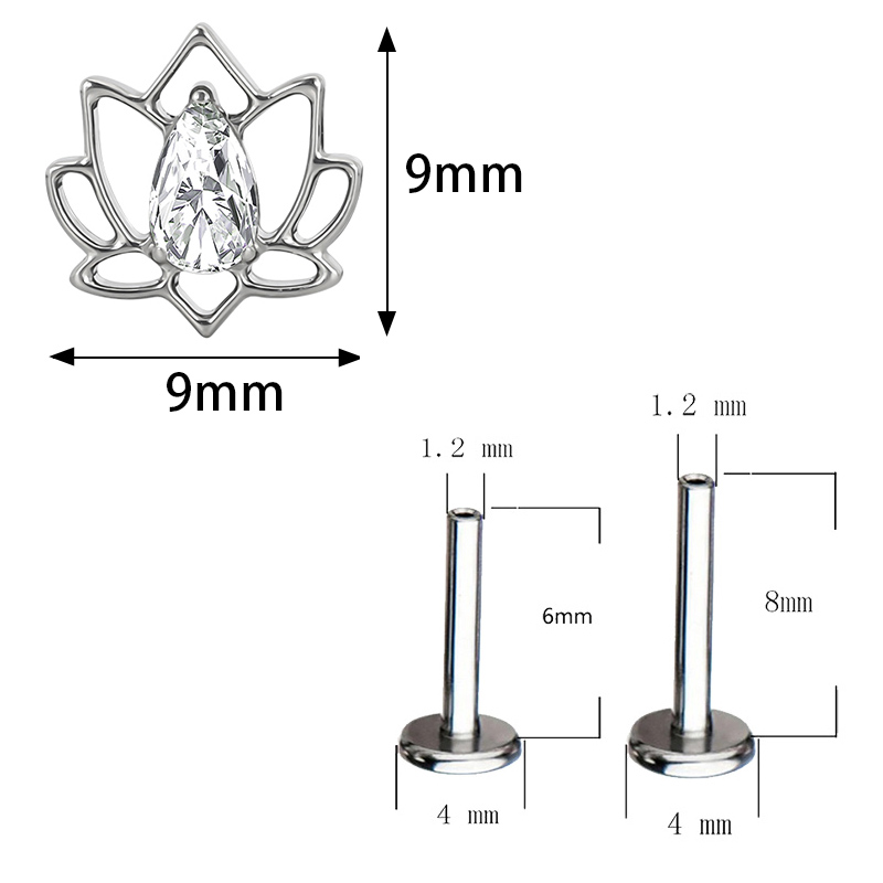 ASTM F136 Titanium Ear PIERC B - Body Jewels 评论和价格